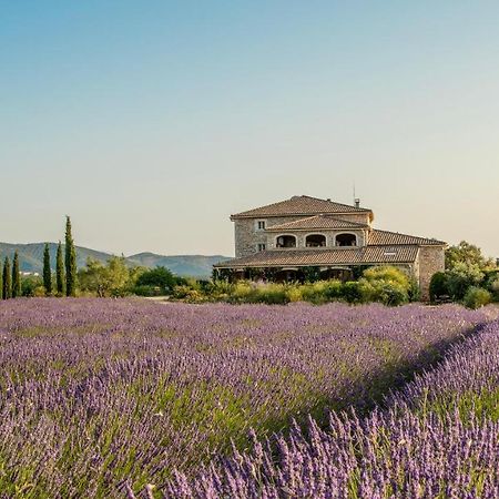 Domaine Du Frigoulet Ξενοδοχείο Vagnas Εξωτερικό φωτογραφία